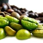Мангустин для похудения содержит зеленый кофе Мангустин для похудения содержит зеленый кофе