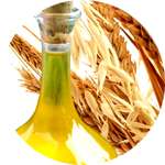 Масло пшеницы - один из компонентов средства Гипертолайф от гипертонии