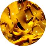 Золотистая ламинария - один из компонентов крема Биорецин от морщин