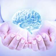 Средство Cerebro Slim улучшает работу мозга